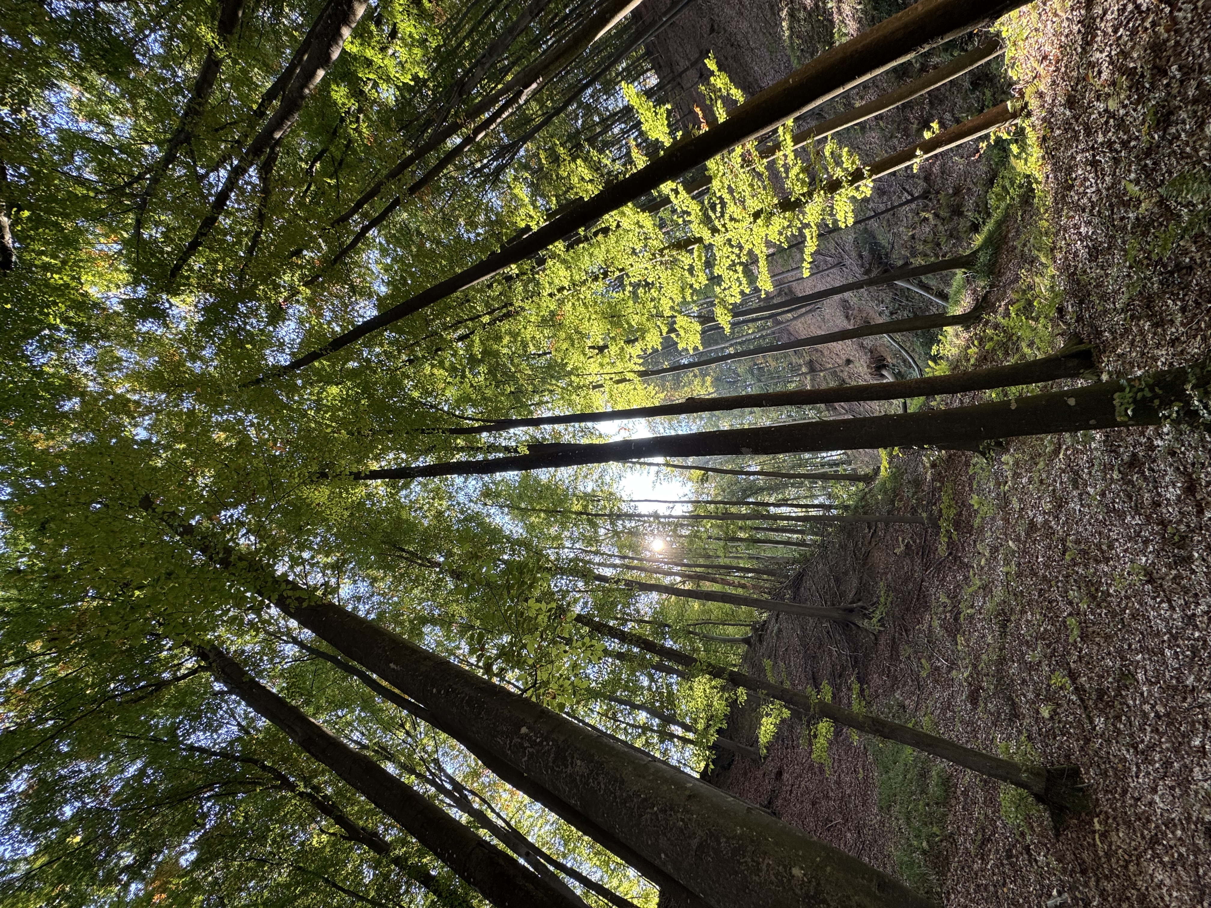 Energieberatung im Einsatz